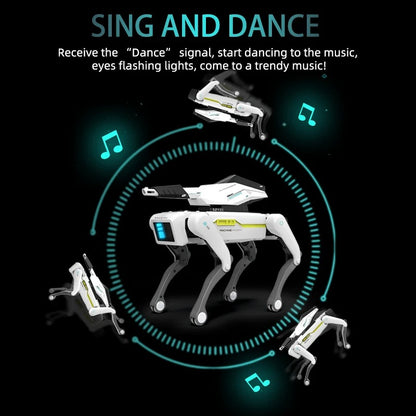 Juega, lanza y atrapa