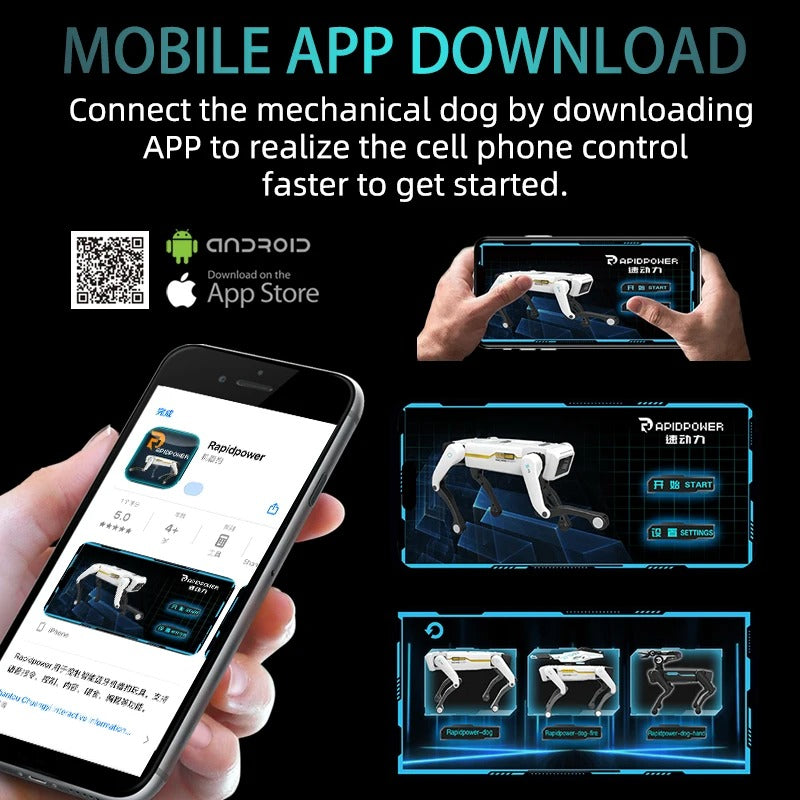 Juega, lanza y atrapa